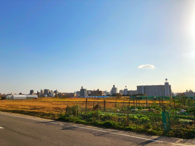 平針ランチ【農園レストラン suburbian(サバーヴィアン)】外に広がる田園風景２