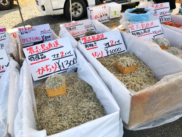 覚王山イベント【日泰寺縁日】魚屋１