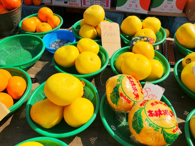 覚王山イベント【日泰寺縁日】晩白柚