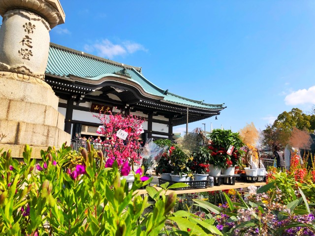 覚王山イベント【日泰寺縁日】日泰寺３