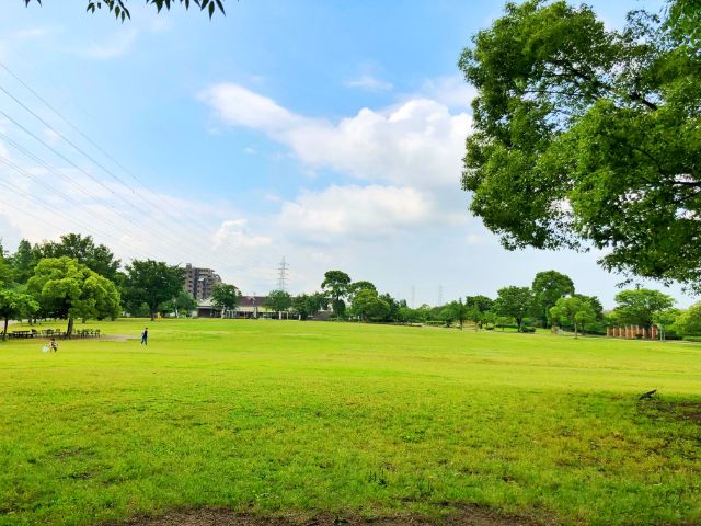 【とだがわこどもランド(戸田川緑地)】南地区芝生広場１