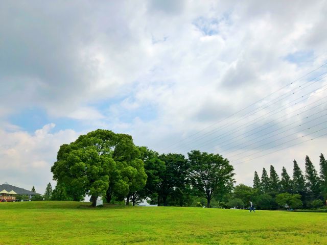 【とだがわこどもランド(戸田川緑地)】南地区芝生広場２