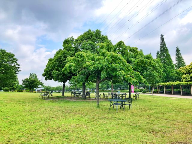 【とだがわこどもランド(戸田川緑地)】南地区芝生広場３