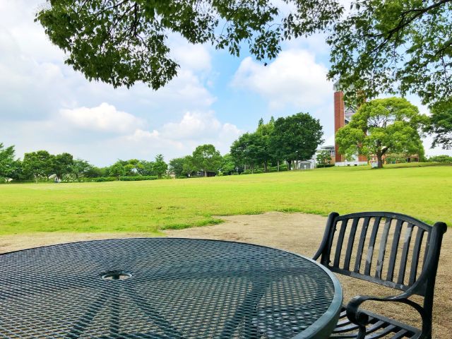 【とだがわこどもランド(戸田川緑地)】南地区芝生広場４