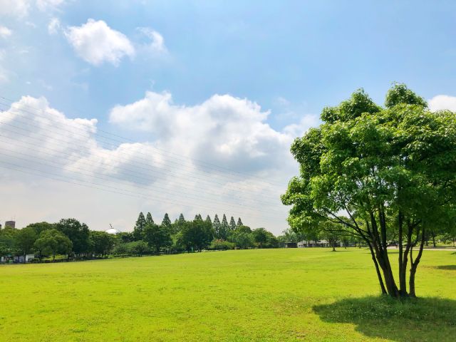 【とだがわこどもランド(戸田川緑地)】広い敷地３