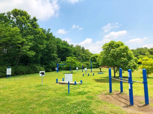 【とだがわこどもランド(戸田川緑地)】中央地区右岸芝生広場３