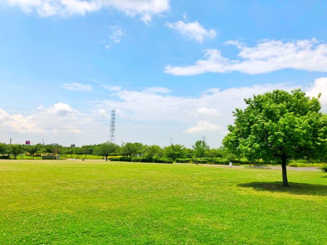 【とだがわこどもランド(戸田川緑地)】中央地区右岸芝生広場２